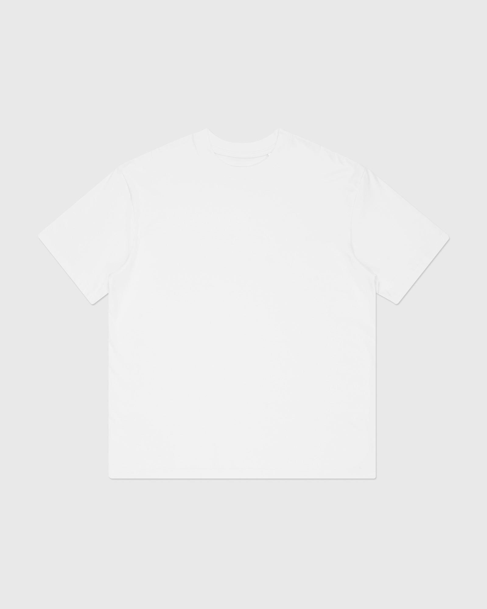 PbC2201 Organic Cotton SS Tee