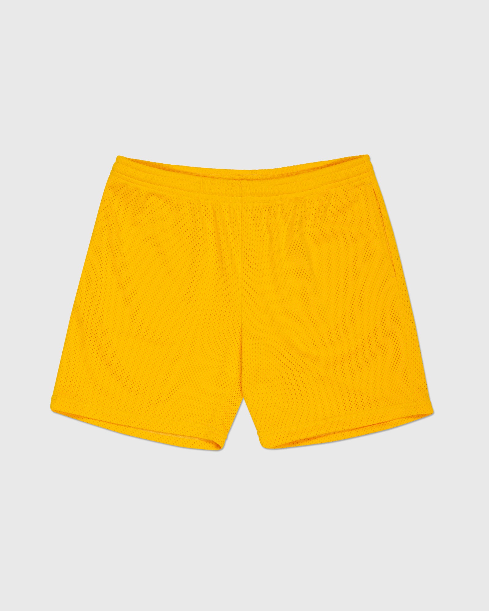 PbA2211 Mesh Shorts